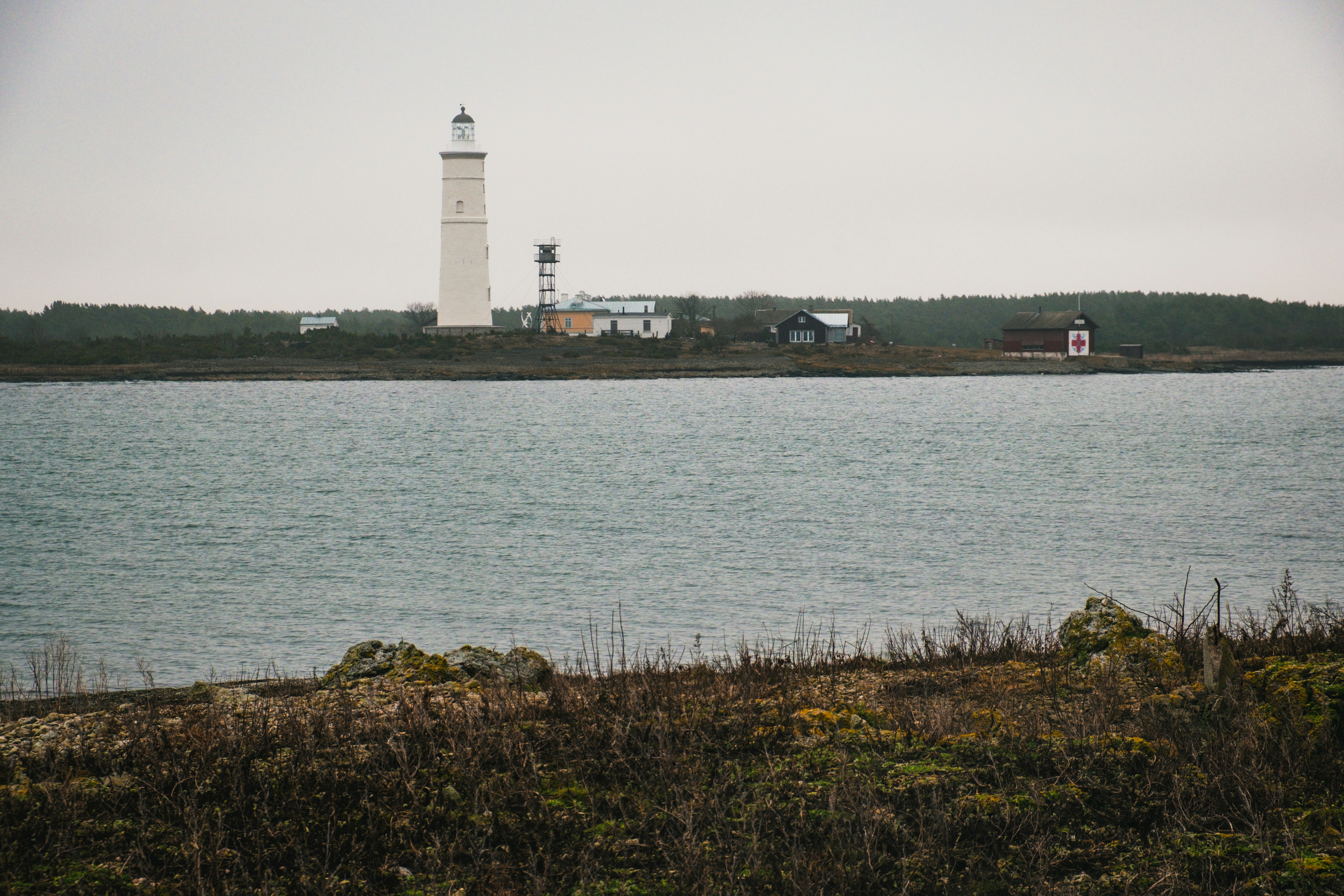 Photo by silverringvee