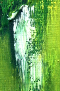 Close-up of a painter’s brush adding a fresh coat of deep green paint to a festive room.