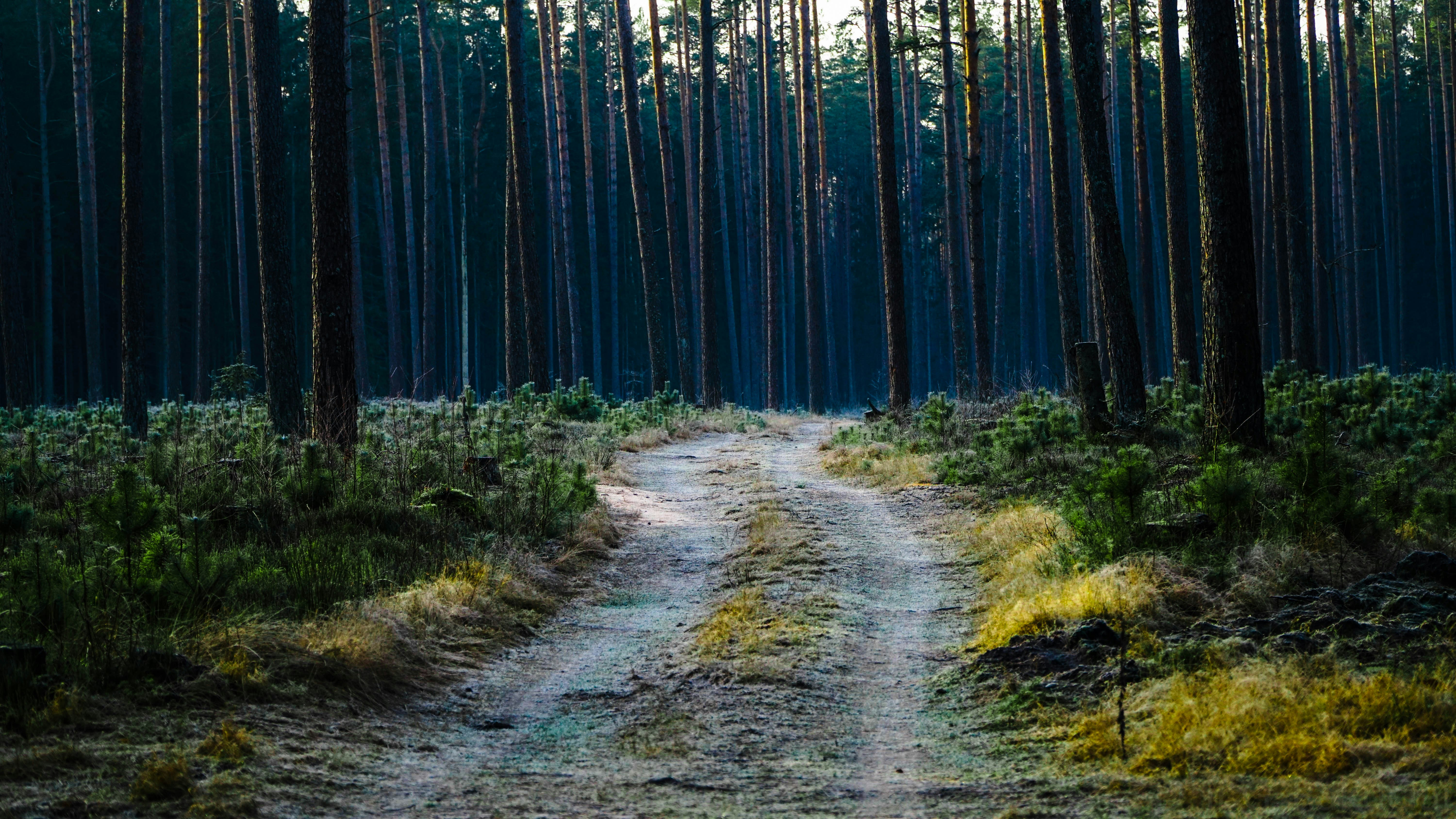 Photo by gabrielielius