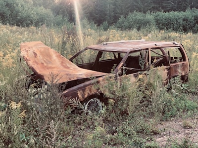 An abandoned car surrounded by weeds in a sunny field.