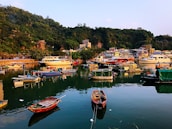 A panoramic view of a peaceful harbor dotted with anchored charter boats at dawn.