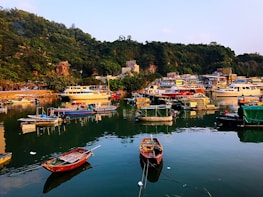 A panoramic view of a peaceful harbor dotted with anchored charter boats at dawn.
