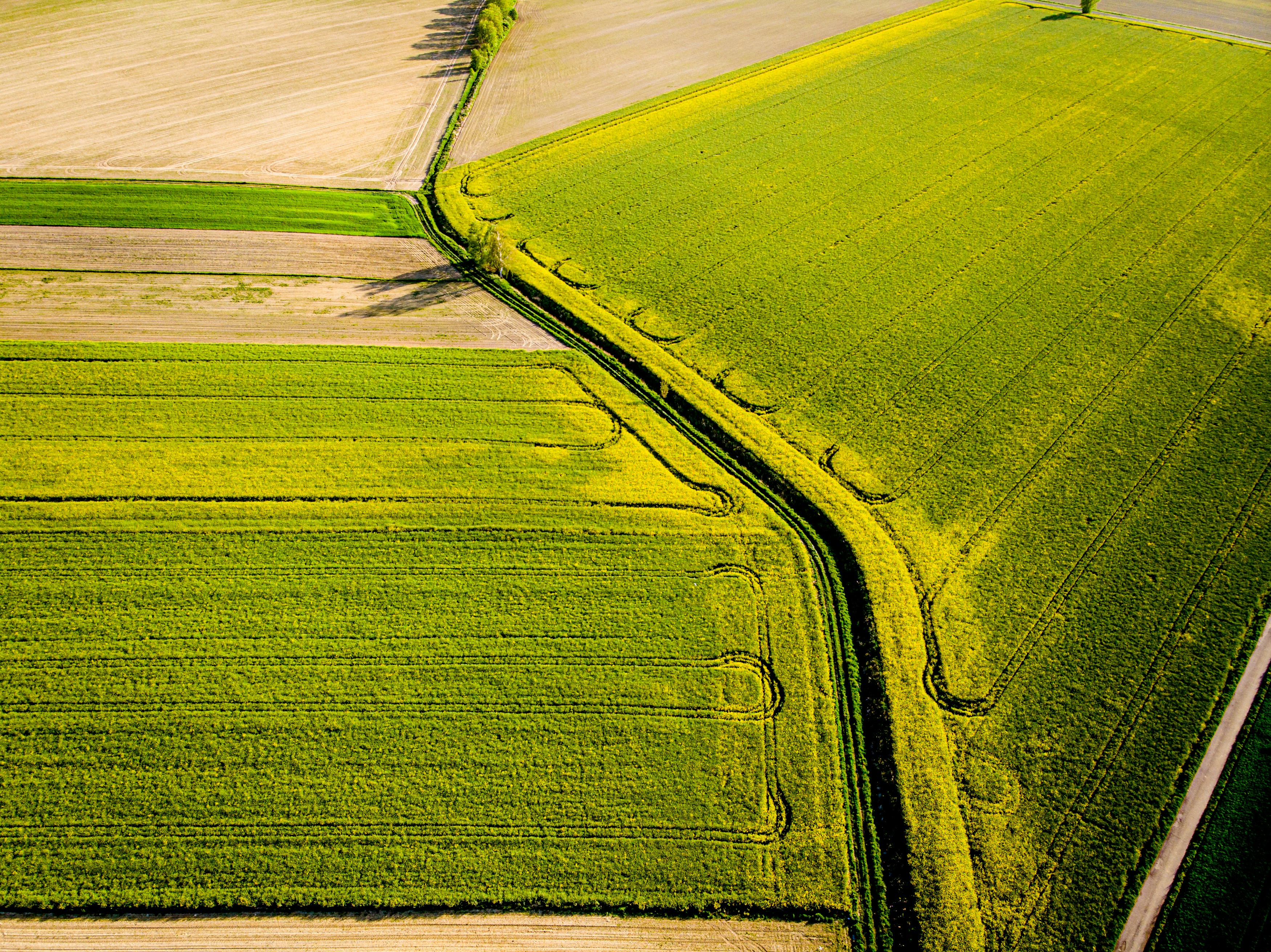Photo by kamilfeczko