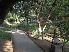 A peaceful park setting with a paved walkway shaded by large trees. Sunlight filters through the branches, casting dappled shadows on the path. Nearby, a wooden railing lines the walkway, and a spherical lamp is perched on a stone base. The area is lush with greenery, with grass covering most of the ground.