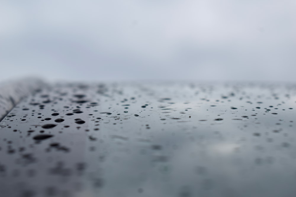 water droplets on wet ground