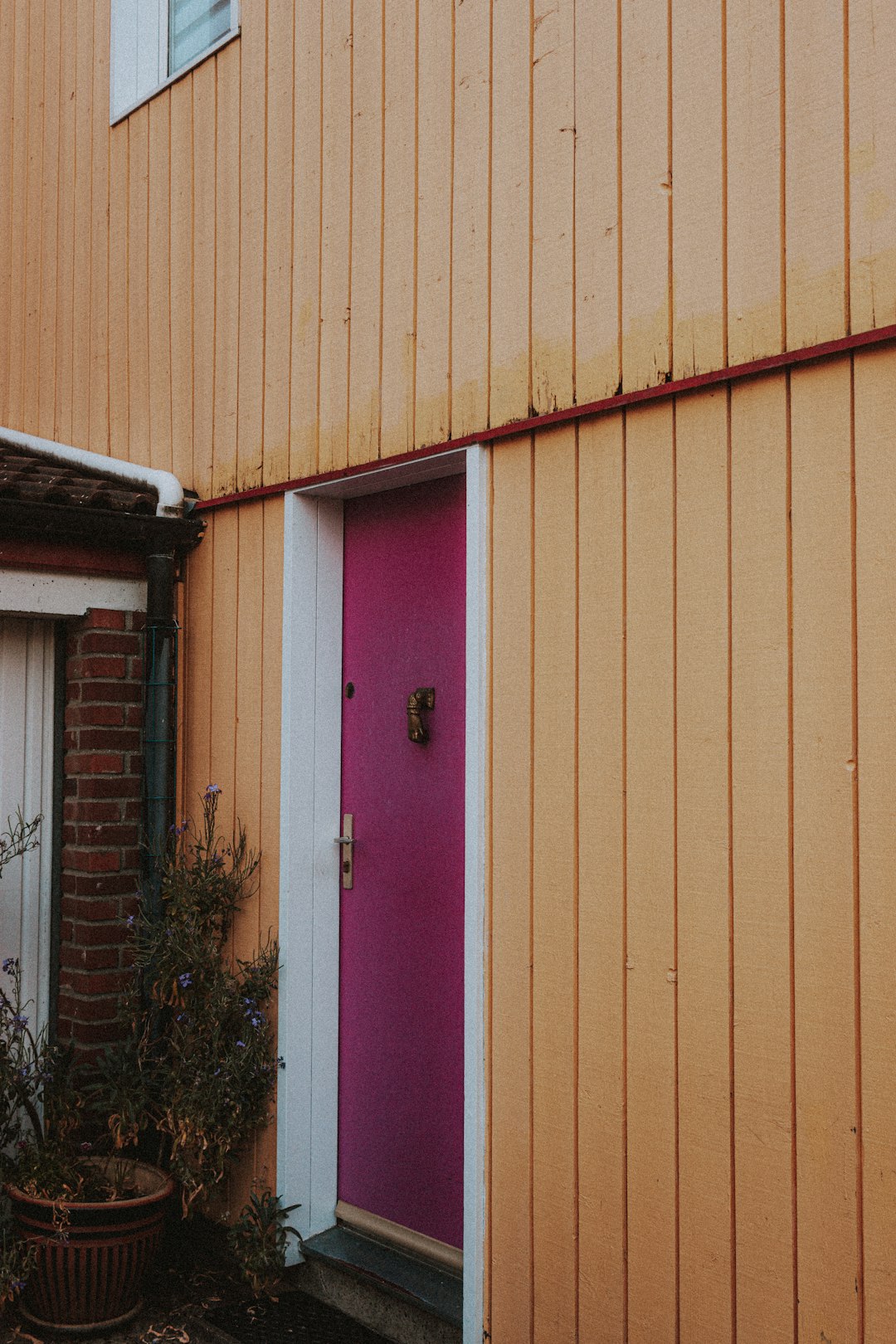 purple and white wooden door