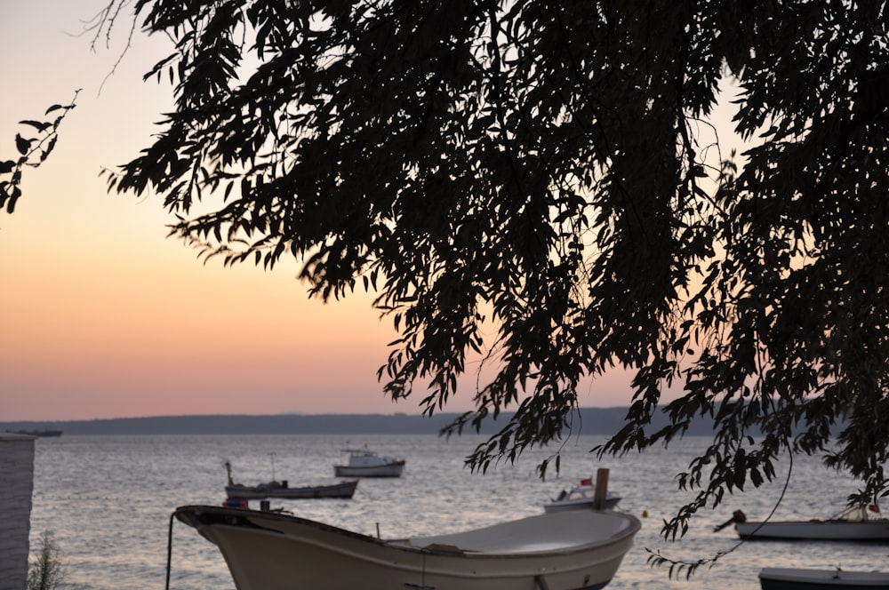 white boat on sea during sunset