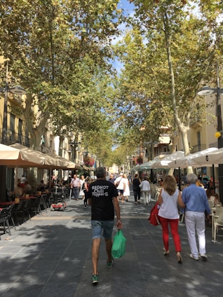 Tree-lined street with couples strolling past modern cafés and picnic areas filled with families.