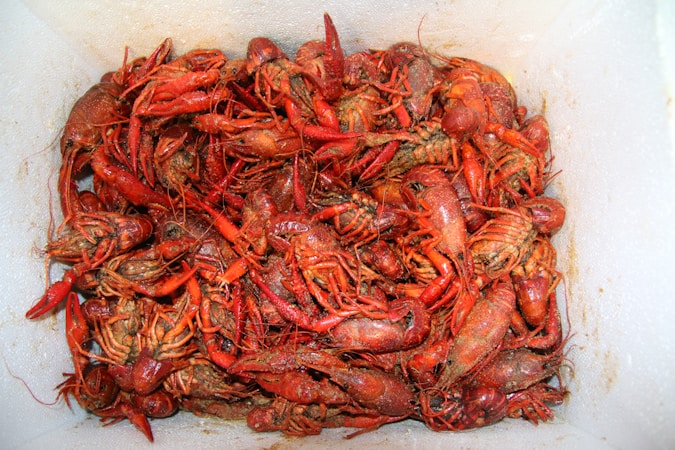 Mastering the Art of Crawfish: A Comprehensive Guide to Louisiana’s Favorite Seafood