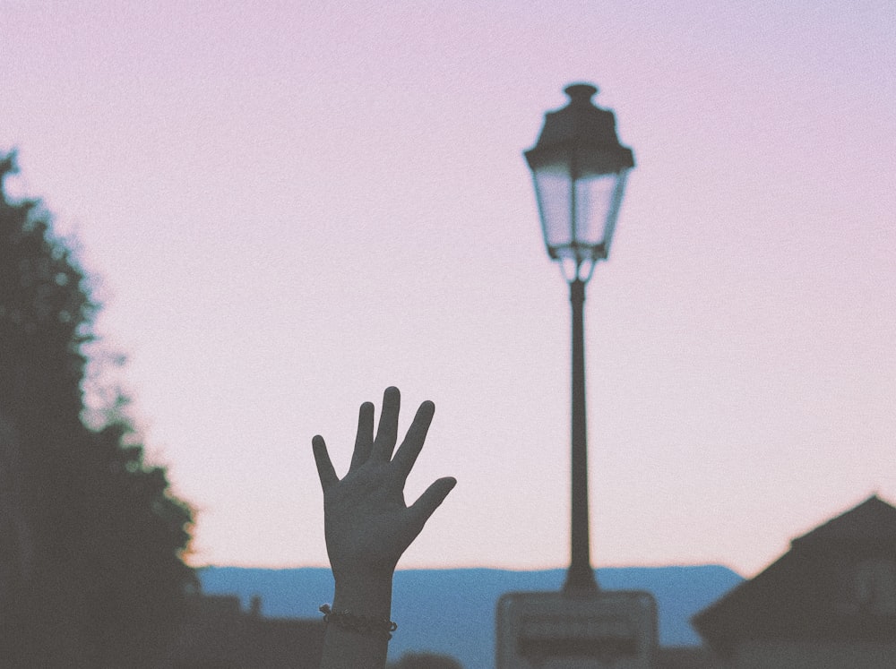 silhouette of person raising hand during sunset