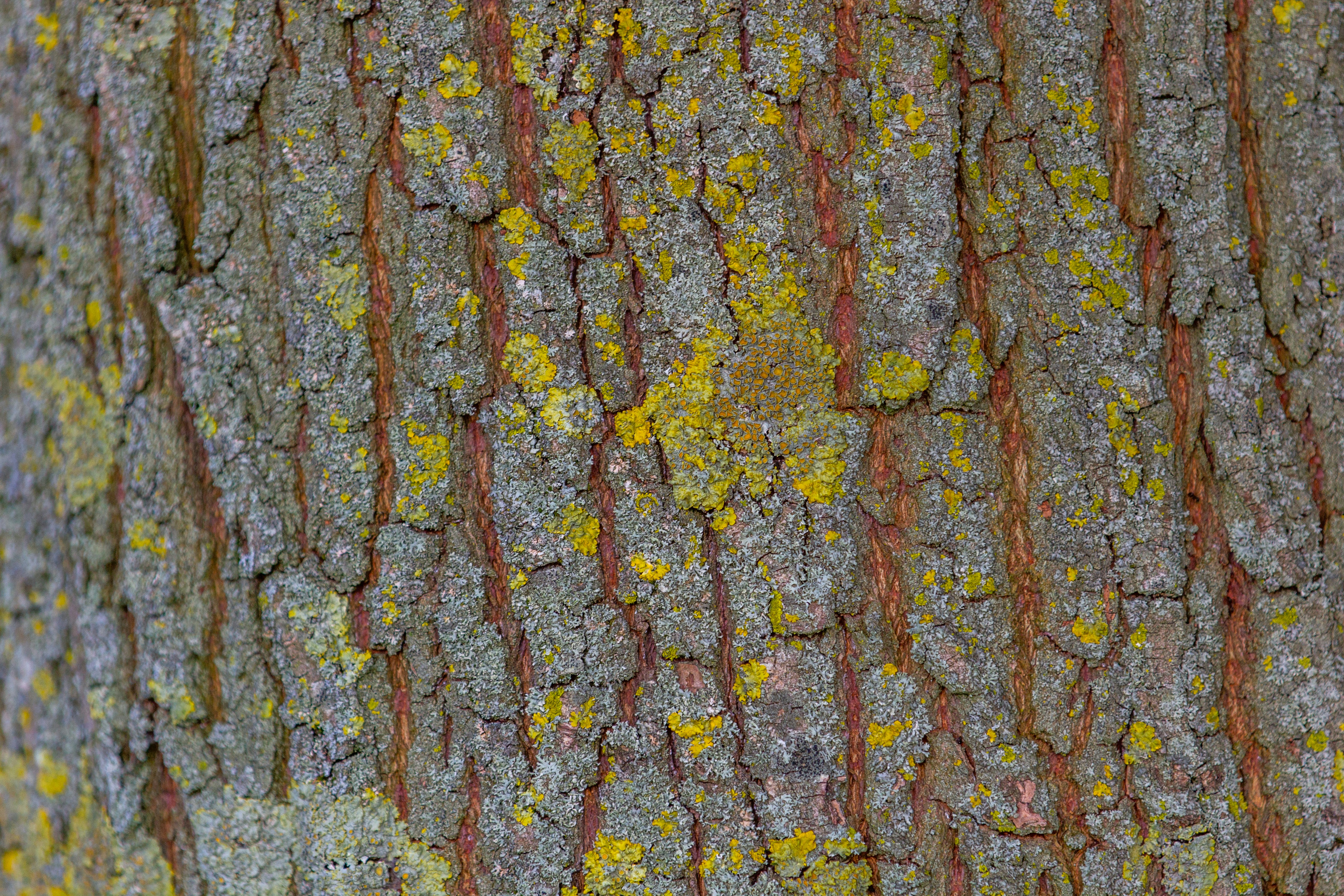 Photo by mzaferyahsi