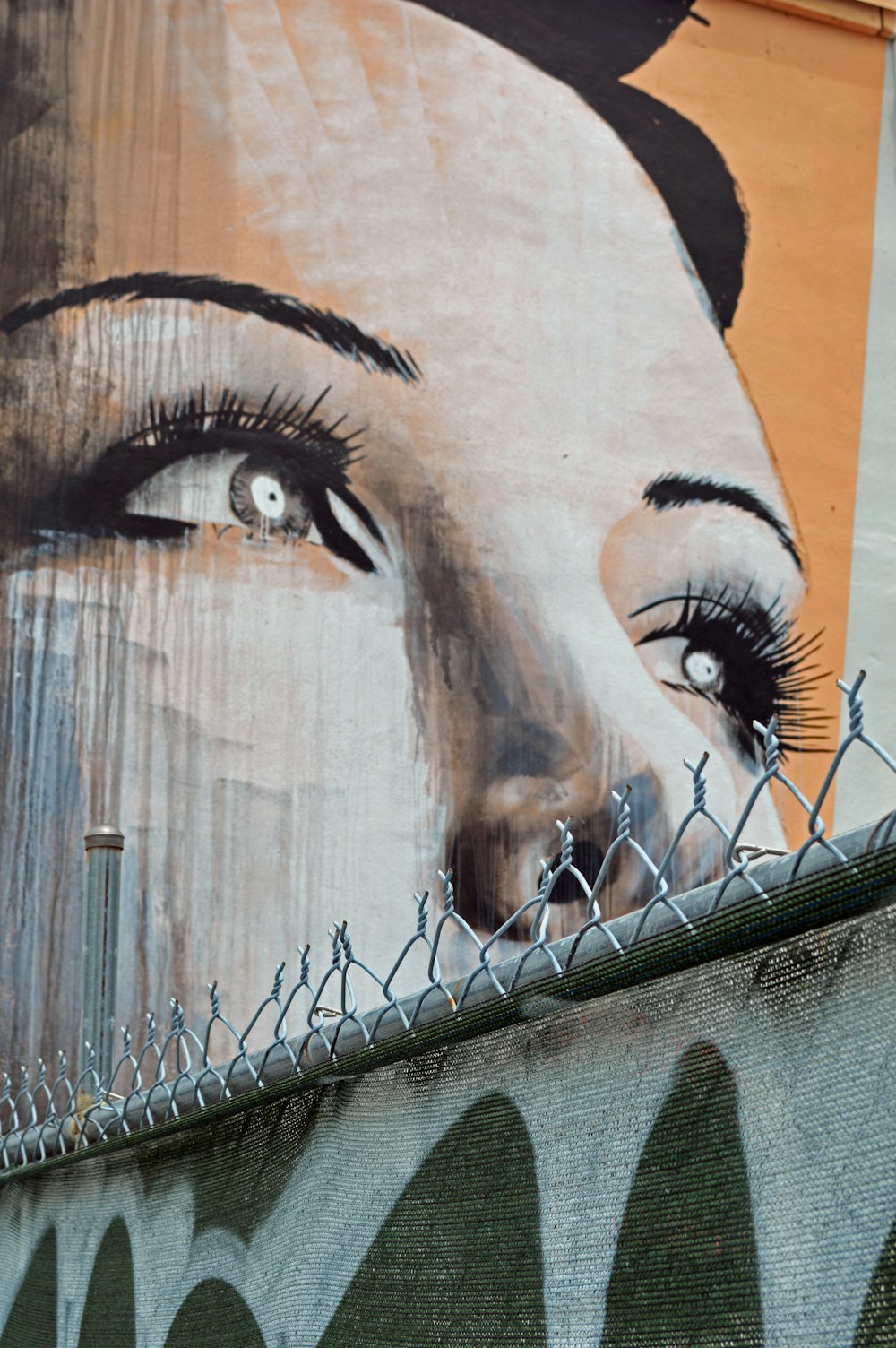 graffiti del viso delle donne sul muro di legno marrone