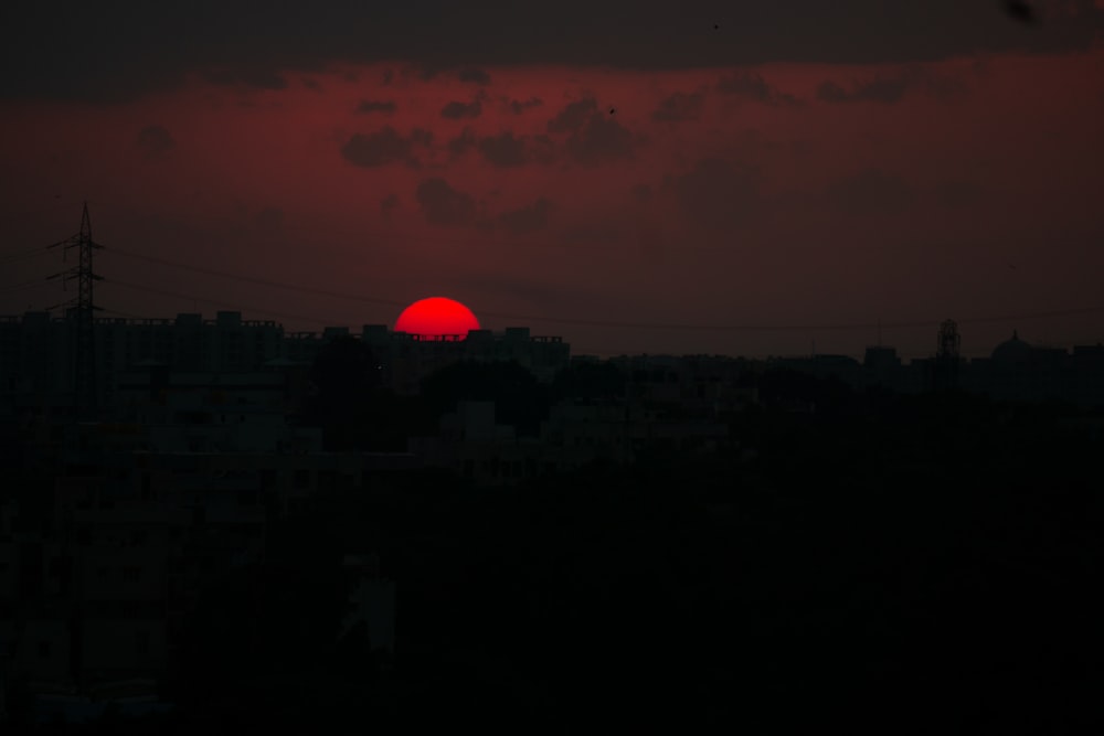 silhouette of trees during sunset