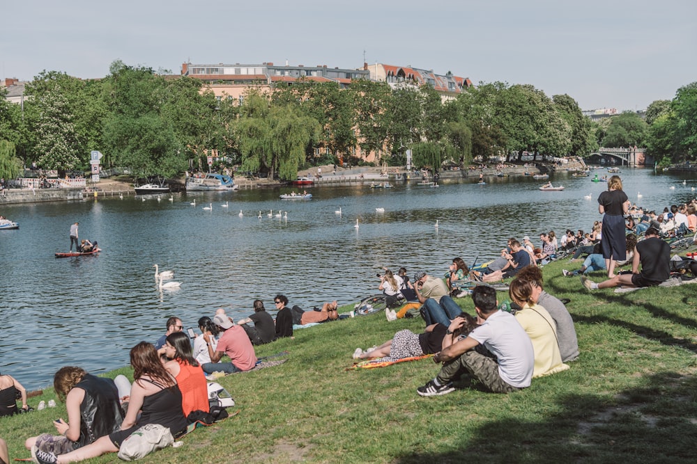 people sitting on green grass near body of water during daytime