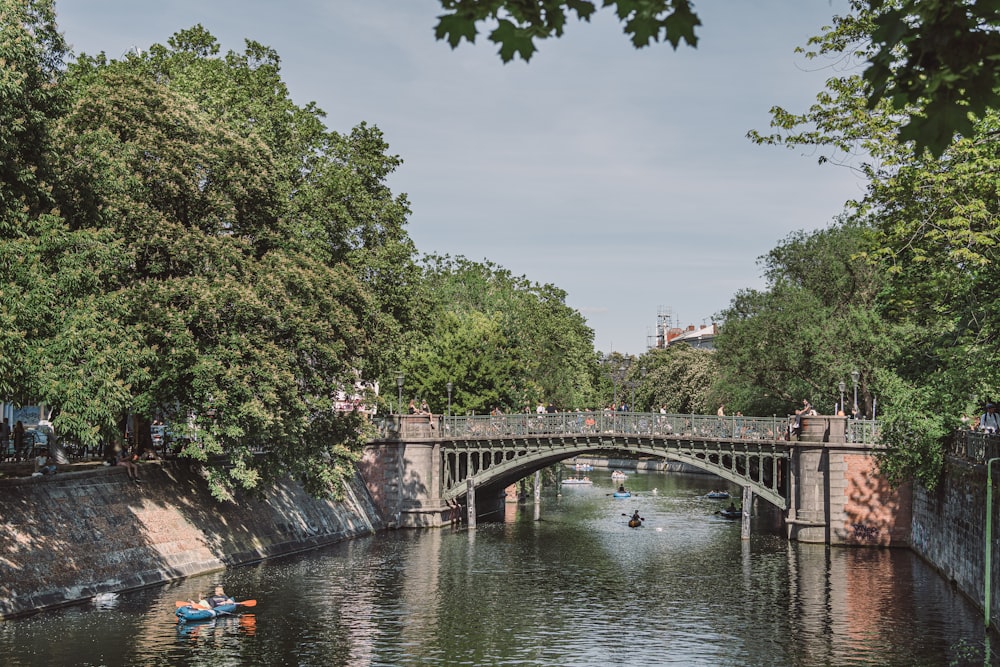 green trees near river during daytime