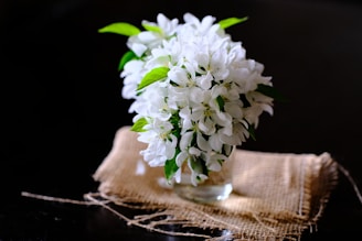 white flowers in clear glass vase