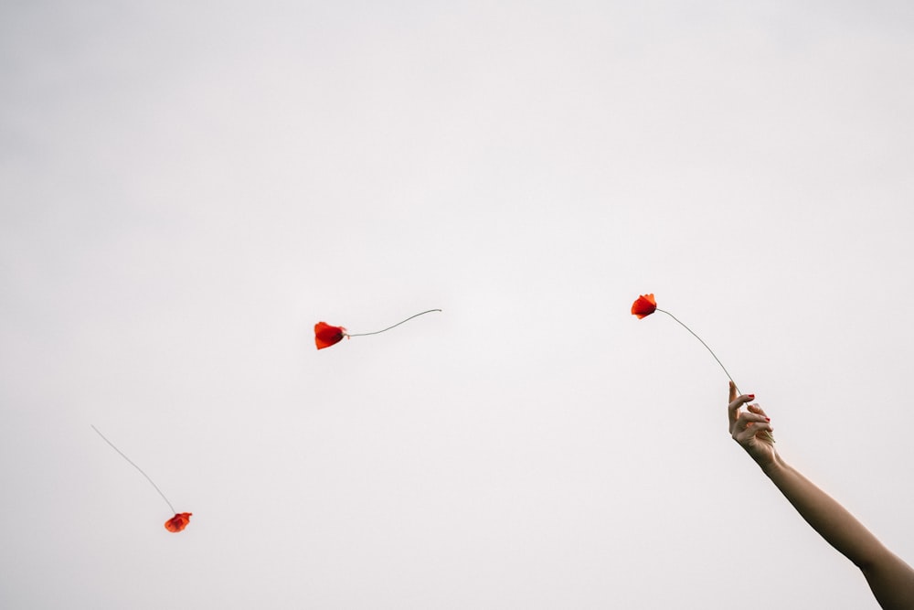 red heart balloons on the sky