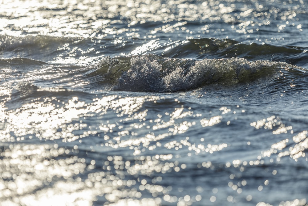 black and brown rock on body of water during daytime