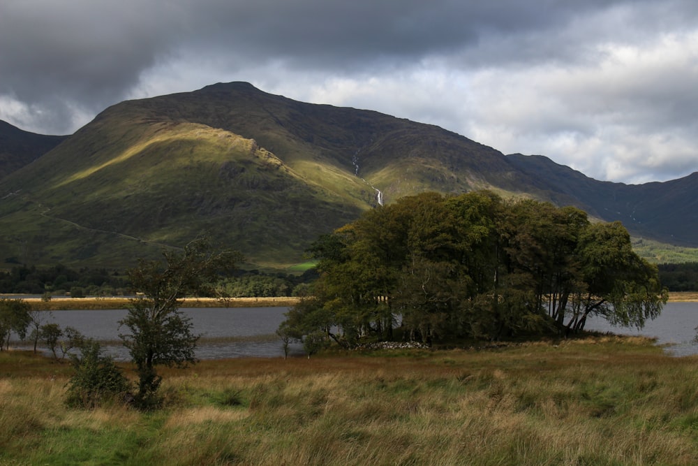 green trees near lake and mountain during daytime