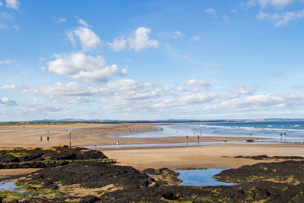 people walking on beach during daytime