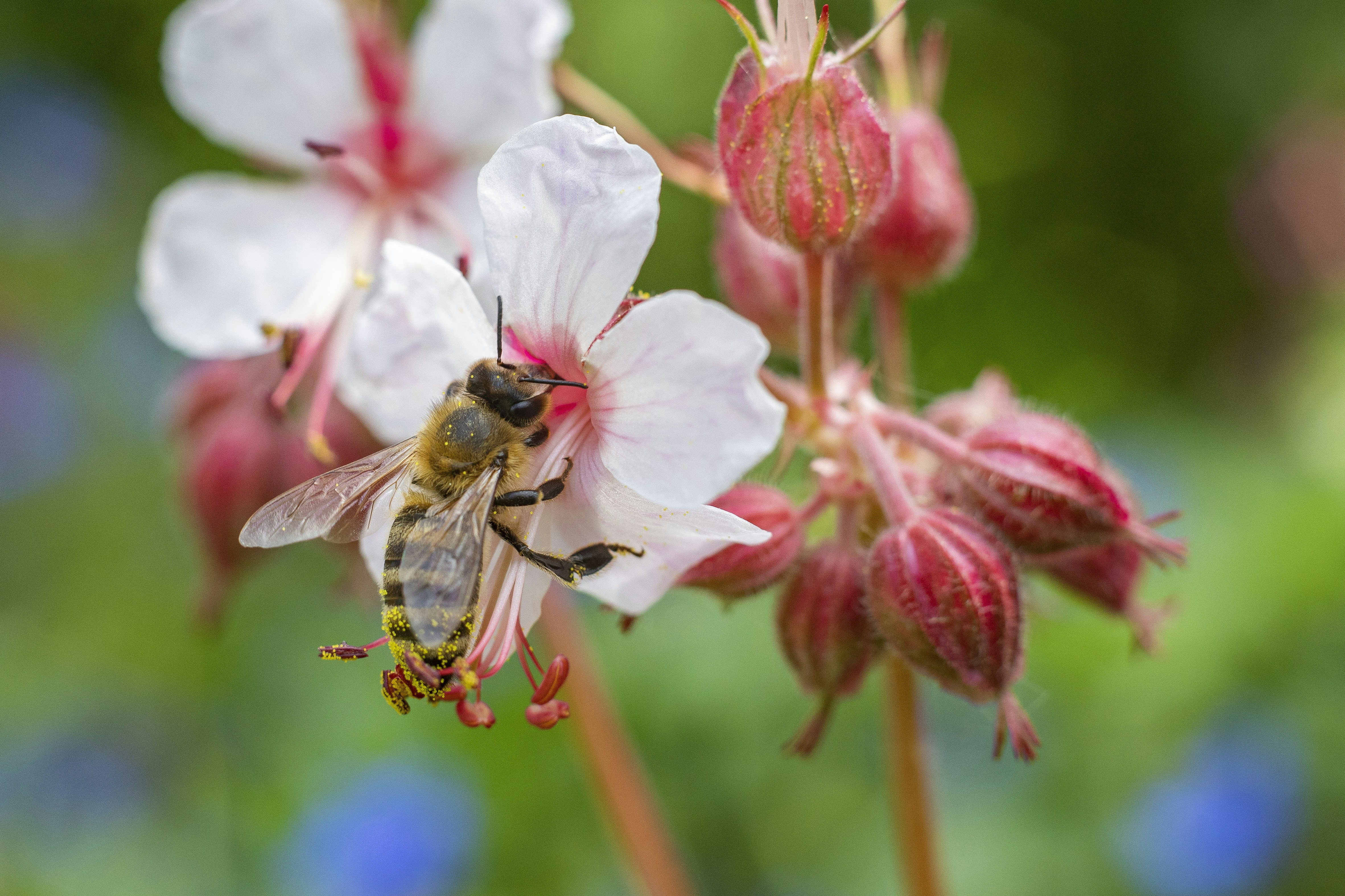 Photo by michaelheld