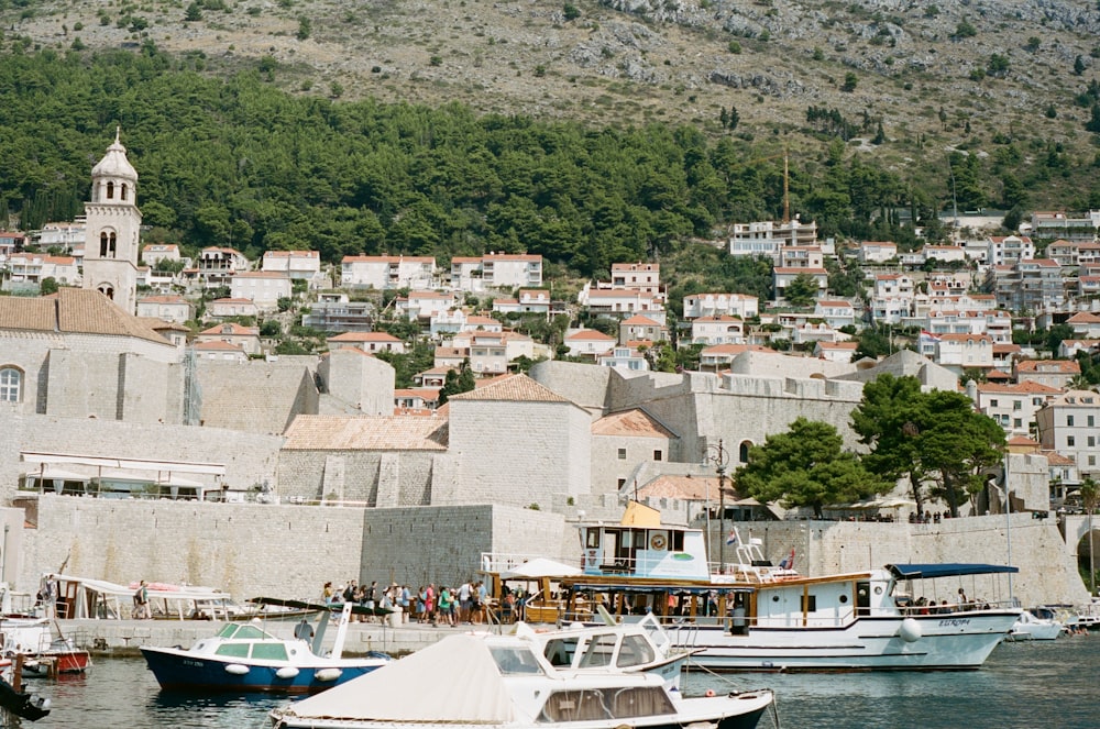 white and brown concrete houses near green trees during daytime