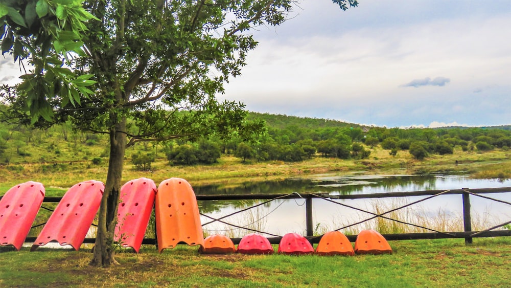 orange kayak on green grass near lake during daytime