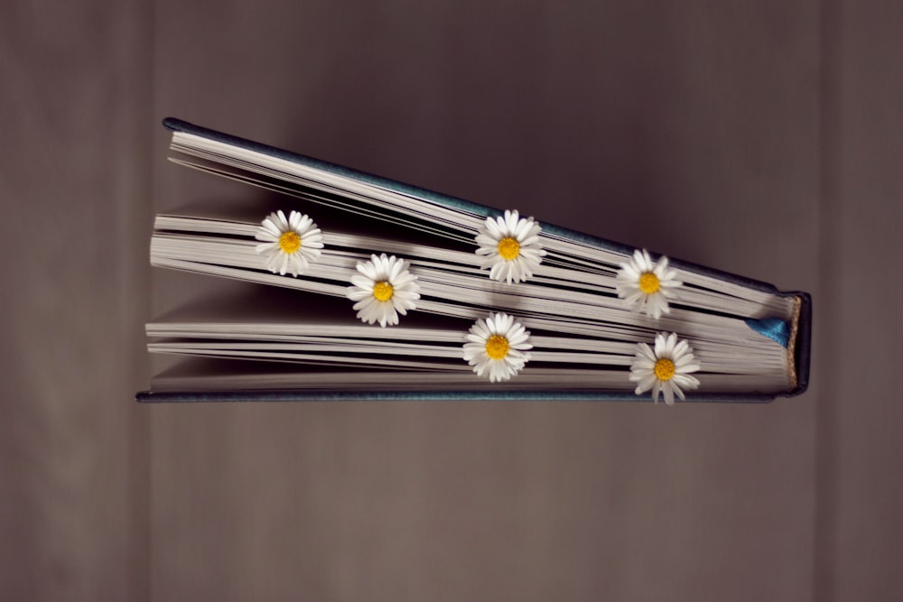 white and yellow flower wall decor