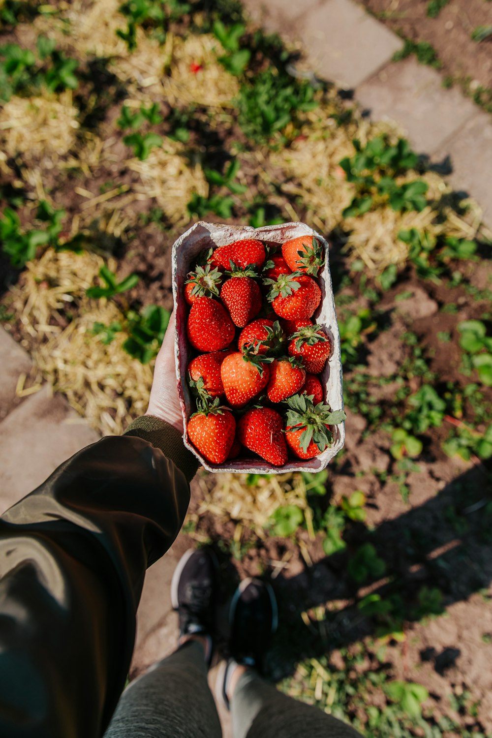 person holding red strawberries in brown plastic bag