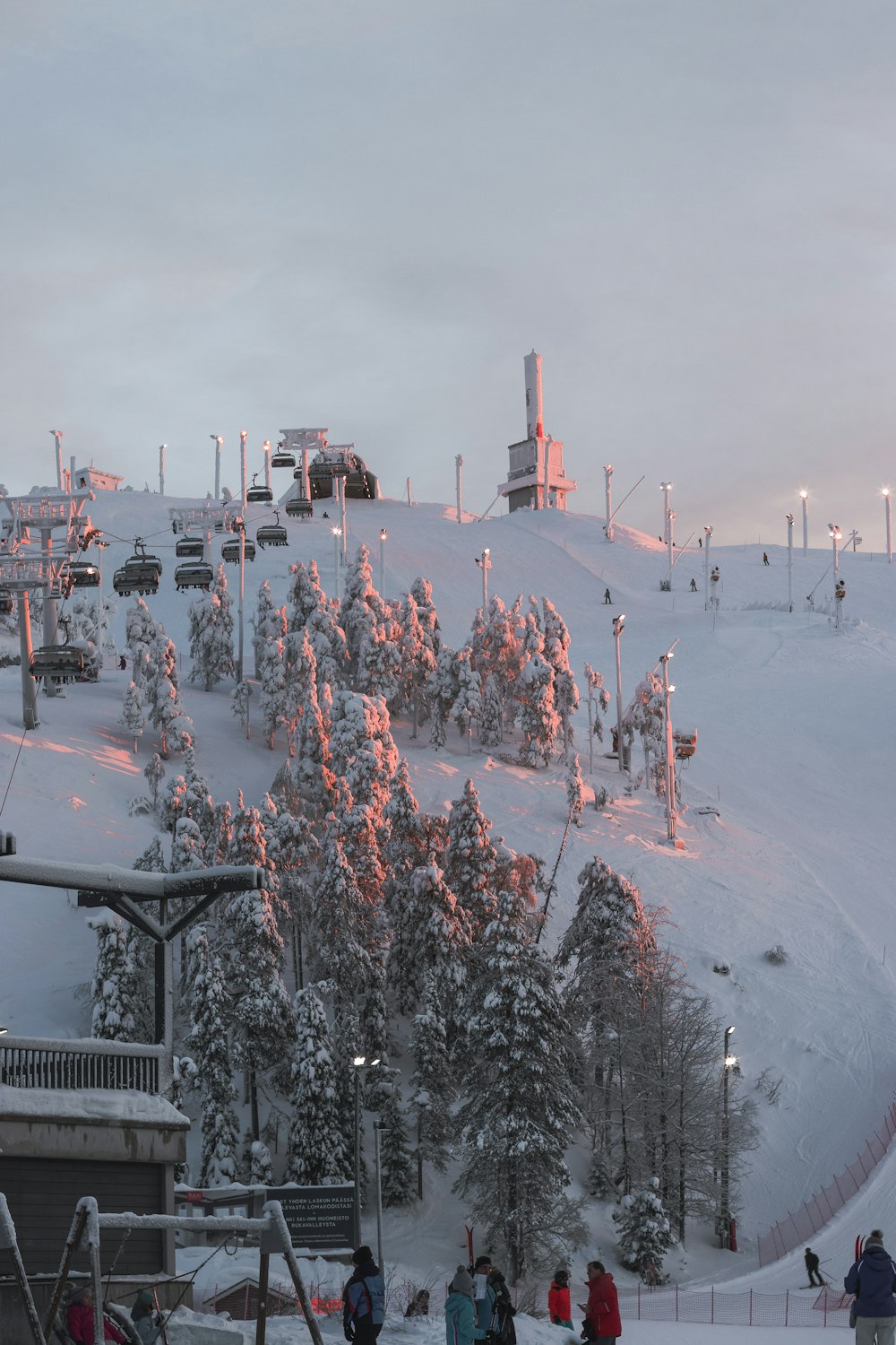 Menschen auf schneebedecktem Boden tagsüber