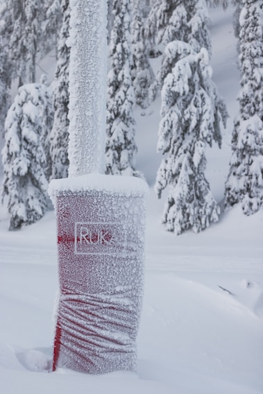 A snowy landscape featuring heavily frosted trees and a snow-covered signpost with the label 'Ruka'. The sign appears to be wrapped partly in red material, which is visible amidst the frost.