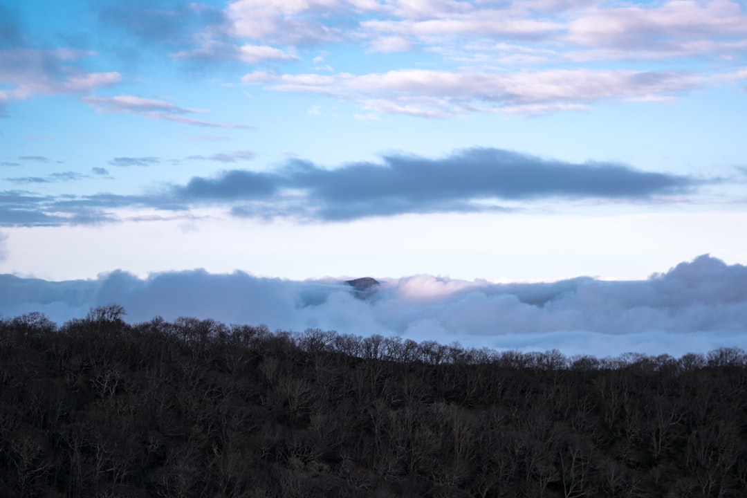 travelers stories about Hill in Blue Ridge Mountains, United States
