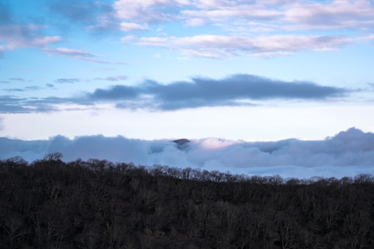 green trees under white clouds during daytime in Blue Ridge Mountains United States