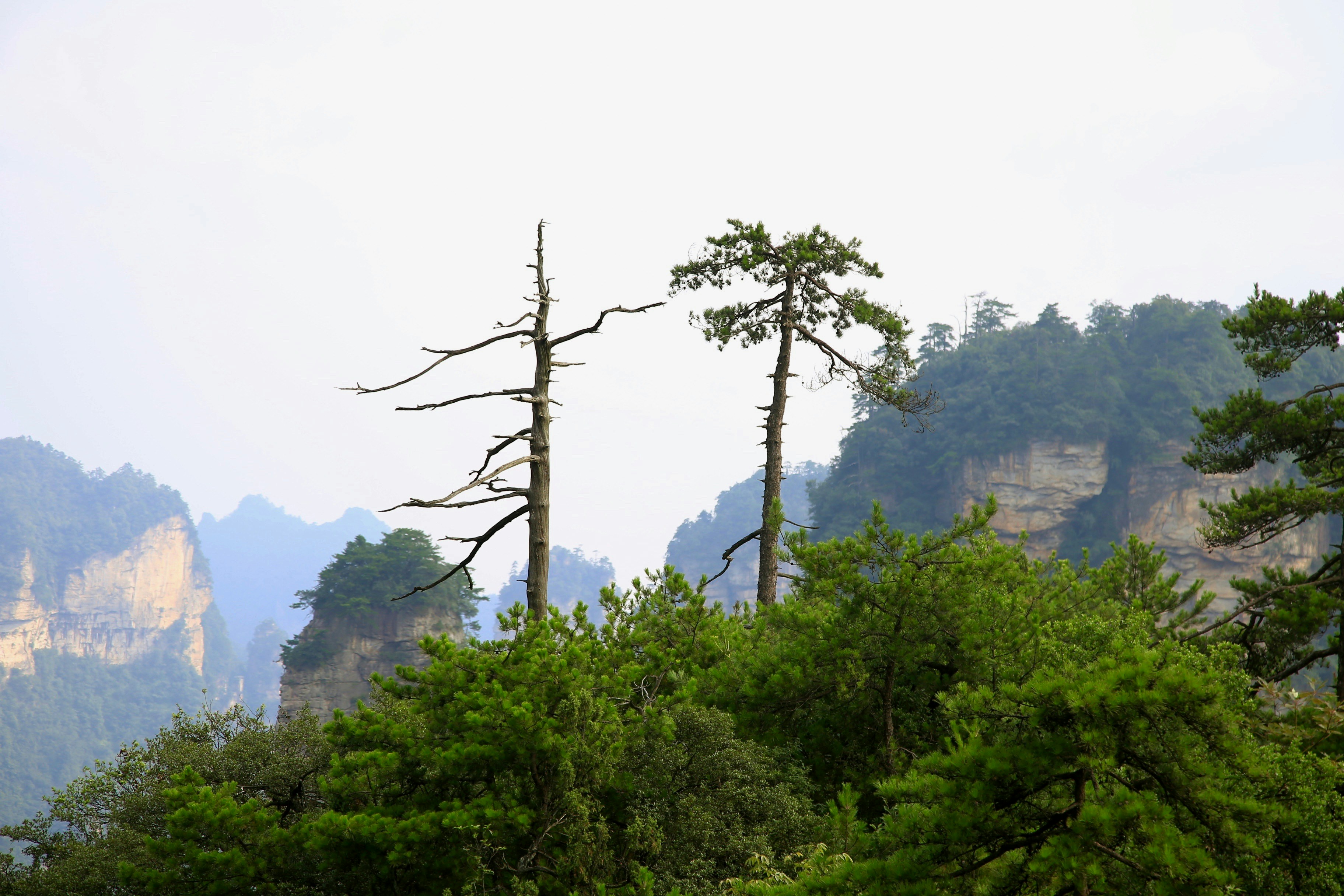 Photo by artanarchist