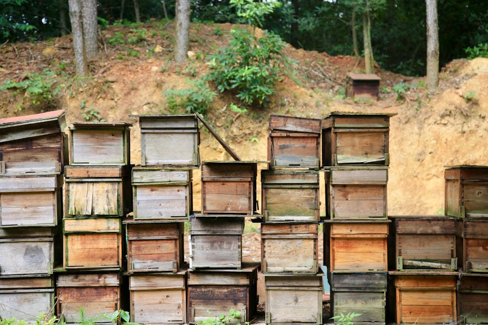 brown wooden crates on forest during daytime