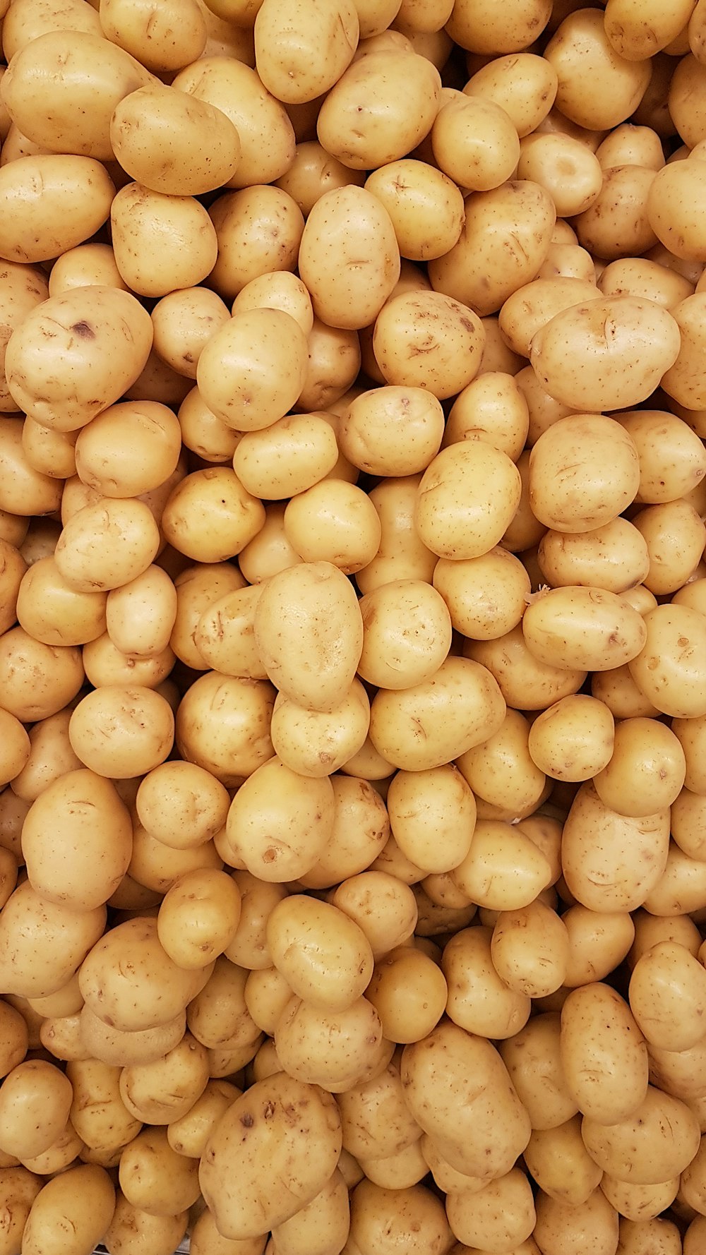 yellow round fruits on white surface