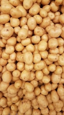 yellow round fruits on white surface