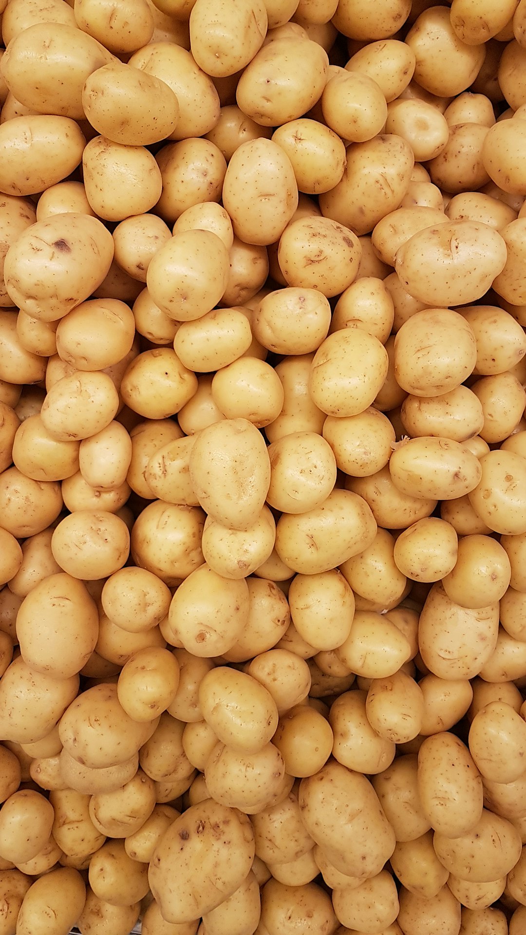 Garlic and Chive Mashed Potatoes
