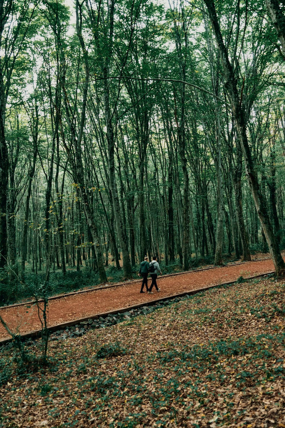 man in black jacket riding bicycle on brown dirt road between green trees during daytime