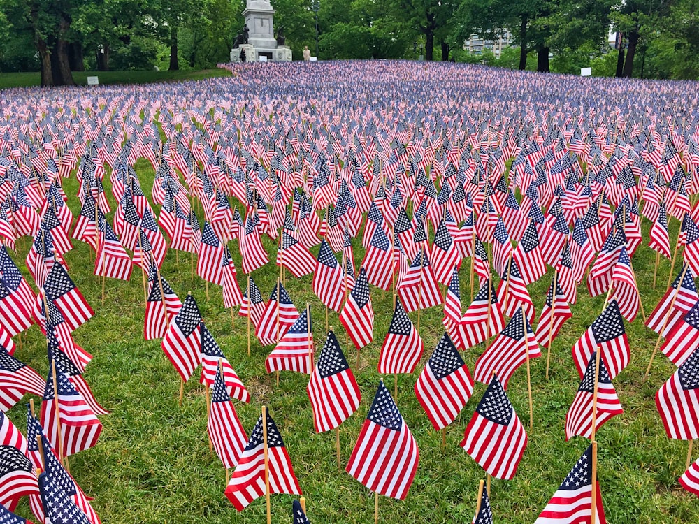 a field full of american flags with a statue in the background