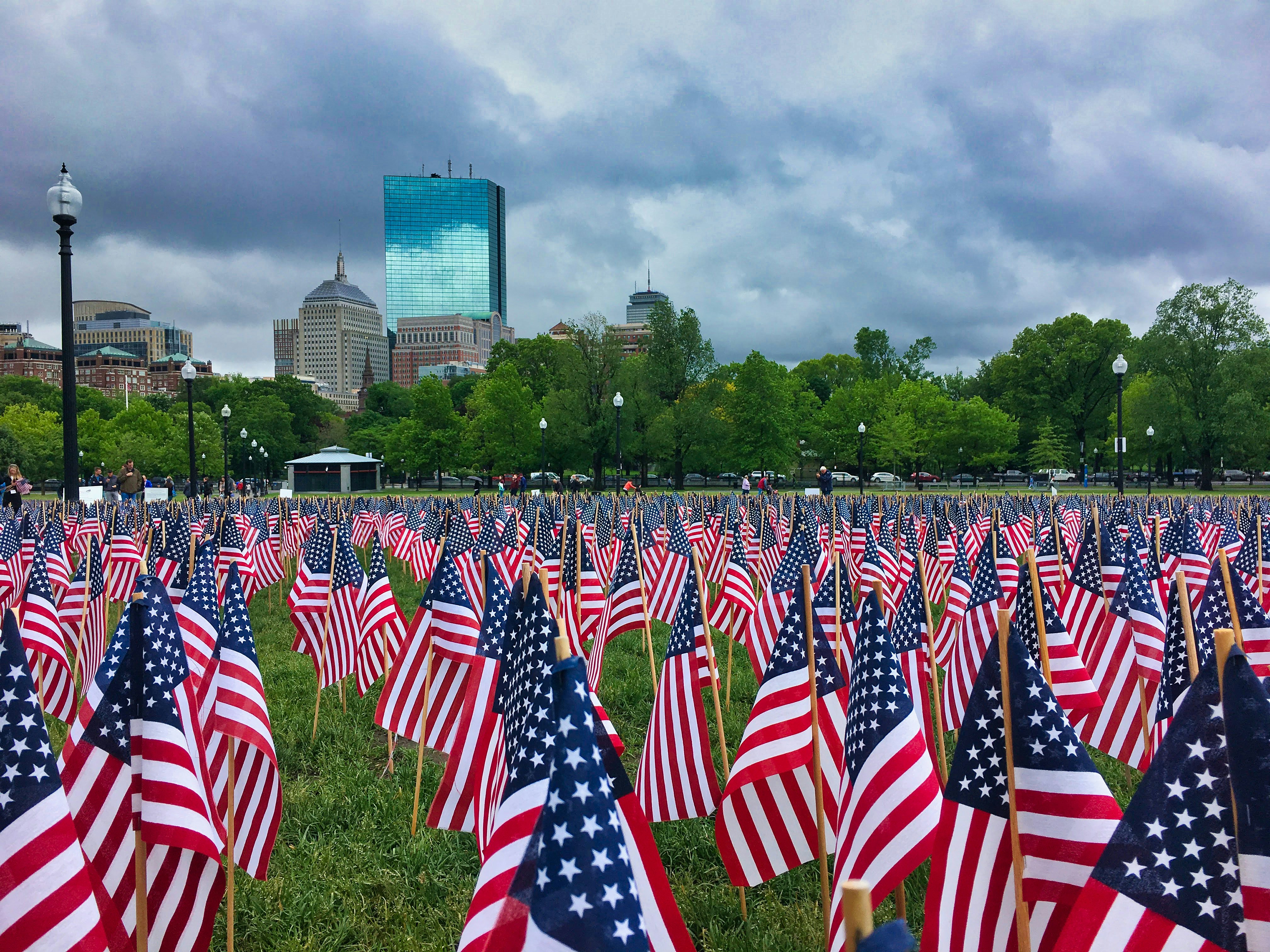 Un campo lleno de banderas americanas con una ciudad de fondo