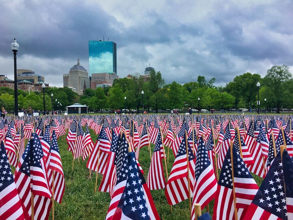 a field full of american flags with a city in the background