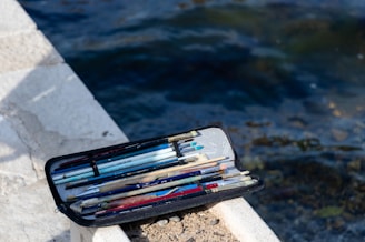 A set of paintbrushes neatly arranged in an open black case is placed on a concrete surface next to clear blue water. The brushes vary in size and color, set against a textured stone background with sunlight casting shadows.
