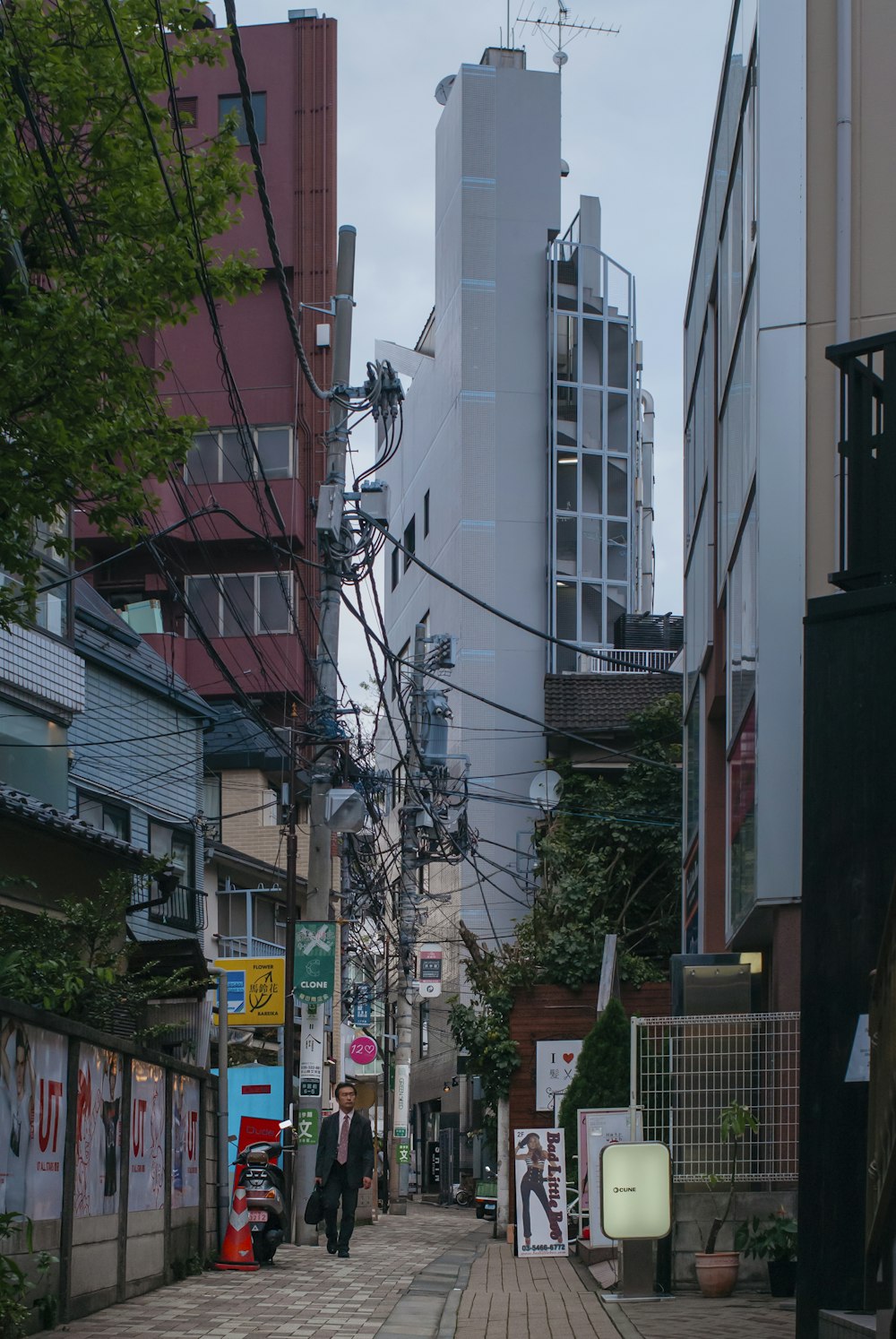 昼間は緑の木々のそばに白いコンクリートの建物