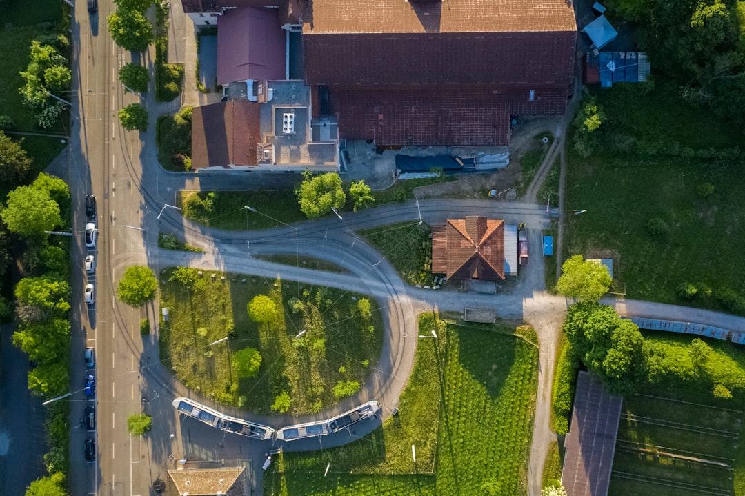 aerial view of green grass field and trees