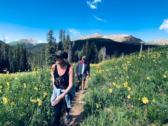 photo of Crested Butte Mountain near Independence Pass