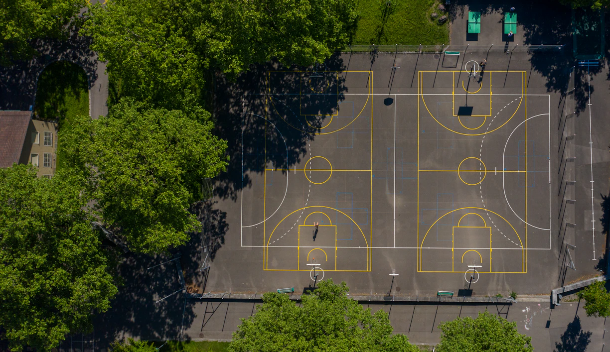 aerial view of green trees and gray concrete road