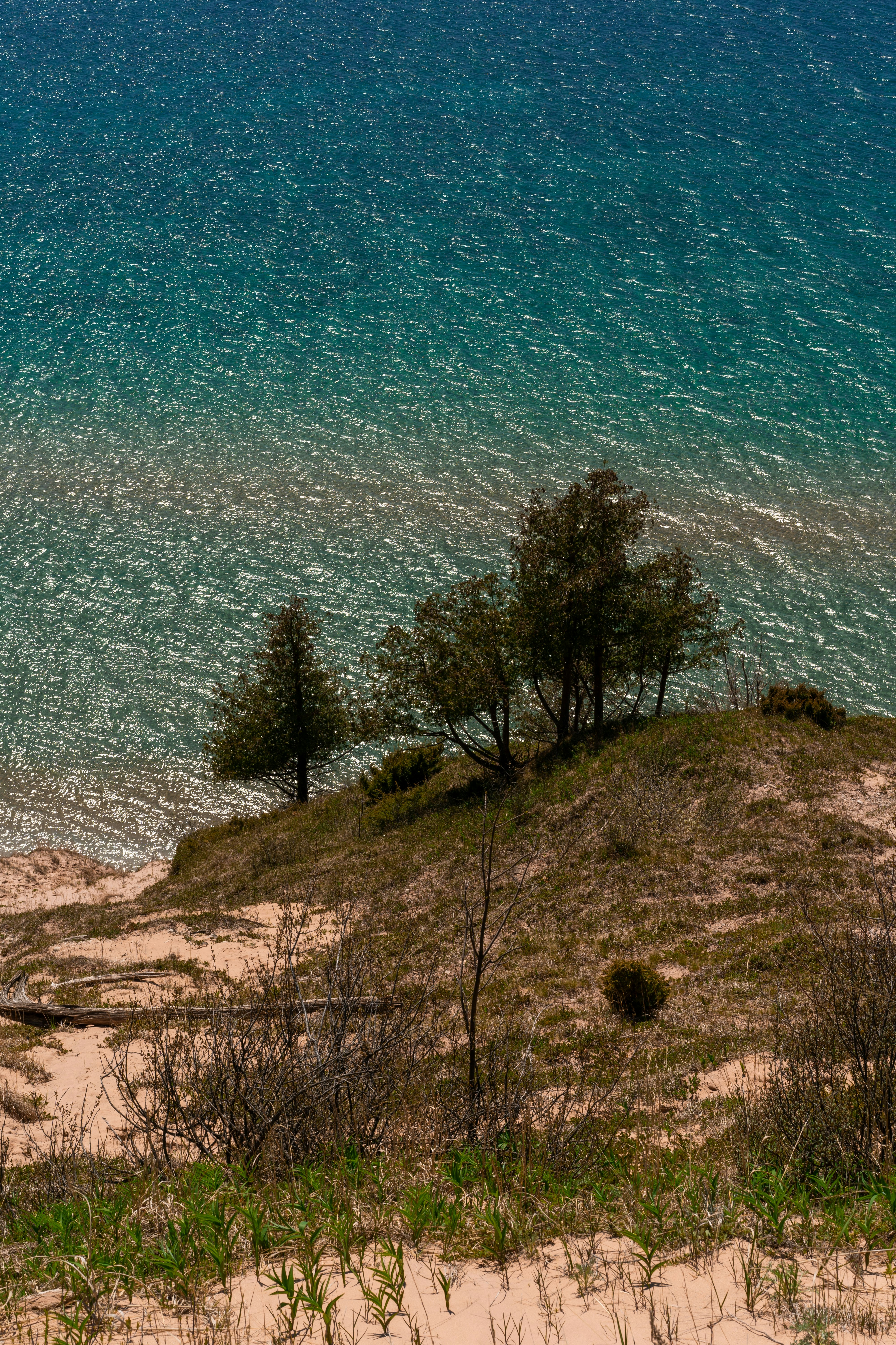 green trees on brown hill near blue sea during daytime