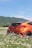 An orange car is parked in a field of white daisies against a backdrop of green rolling hills and a clear blue sky. The car is seen from the back, highlighting its sleek design.