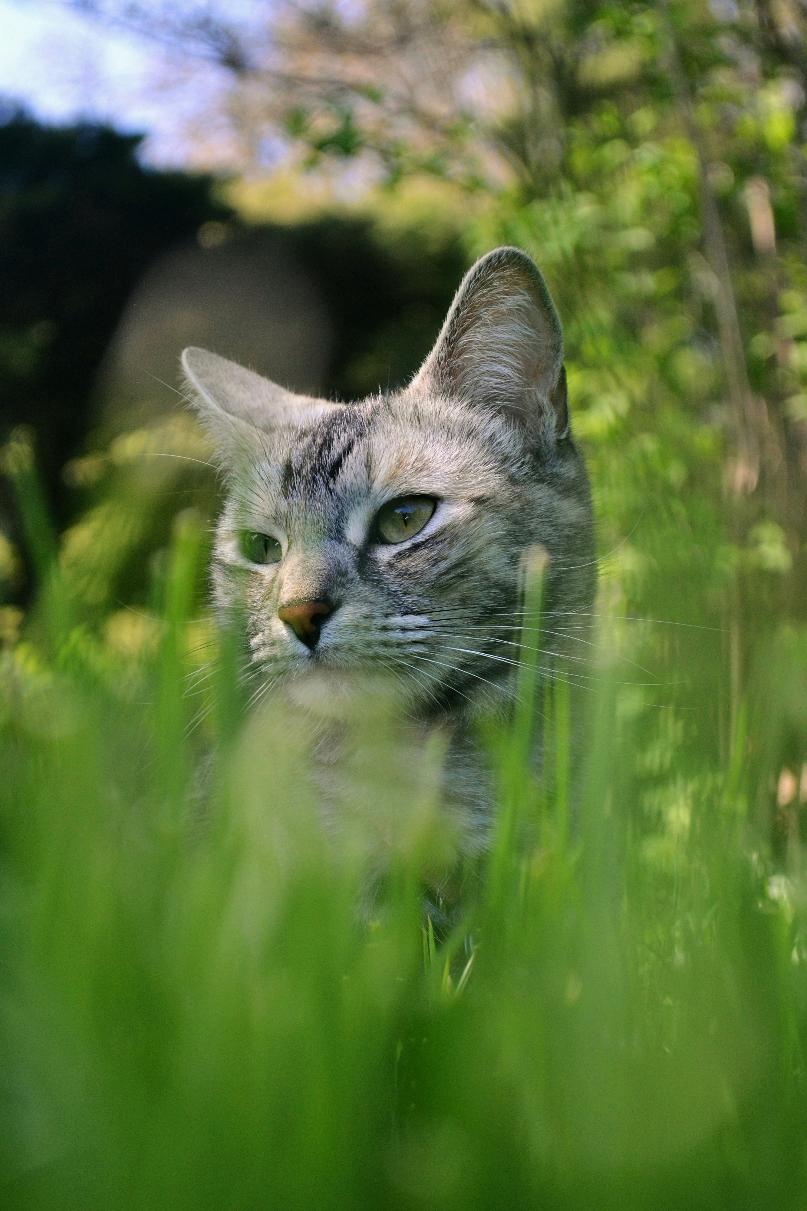 Photo by michealcopley03